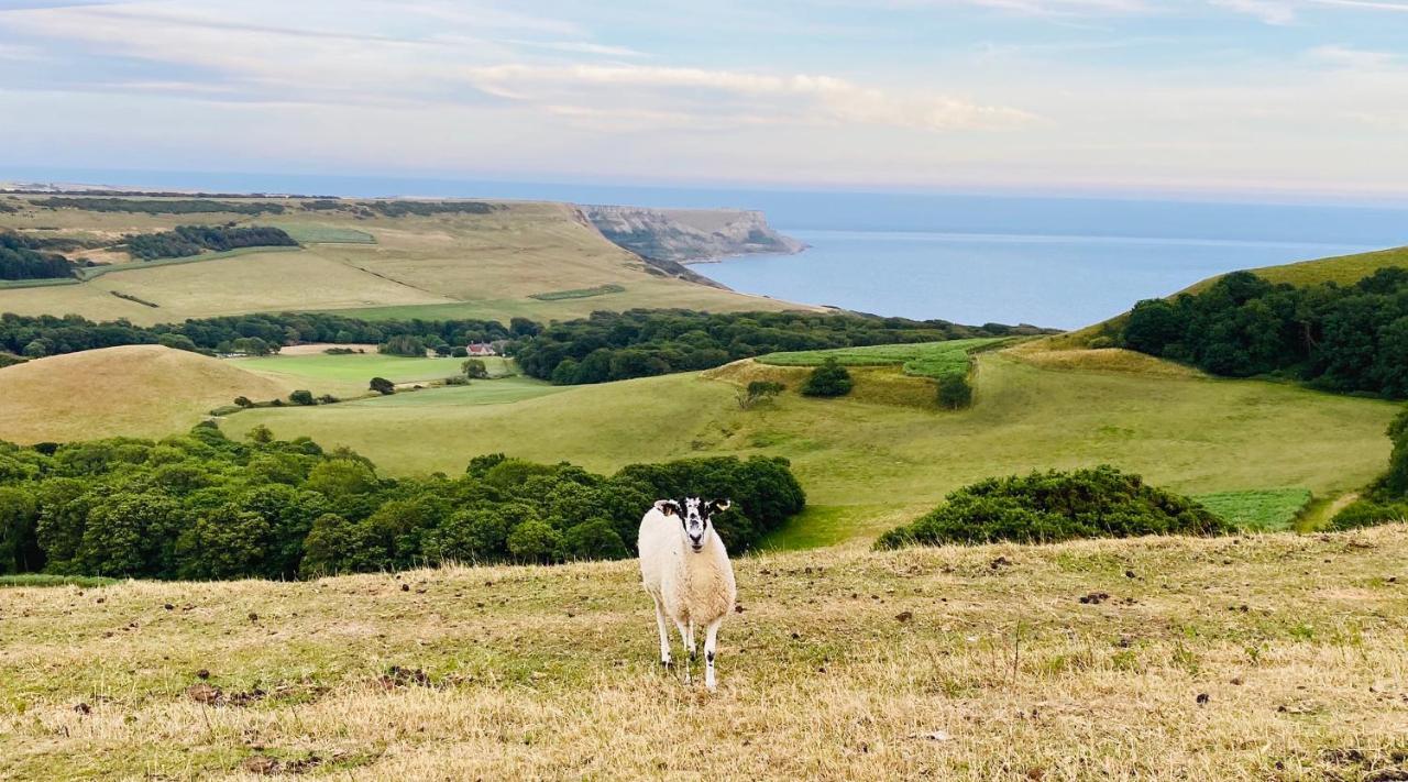 The Lookout Lägenhet Swanage Exteriör bild